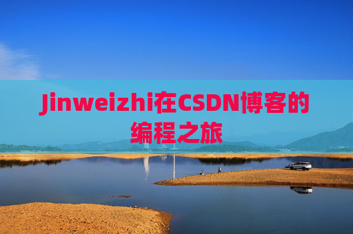 Jinweizhi在CSDN博客的编程之旅